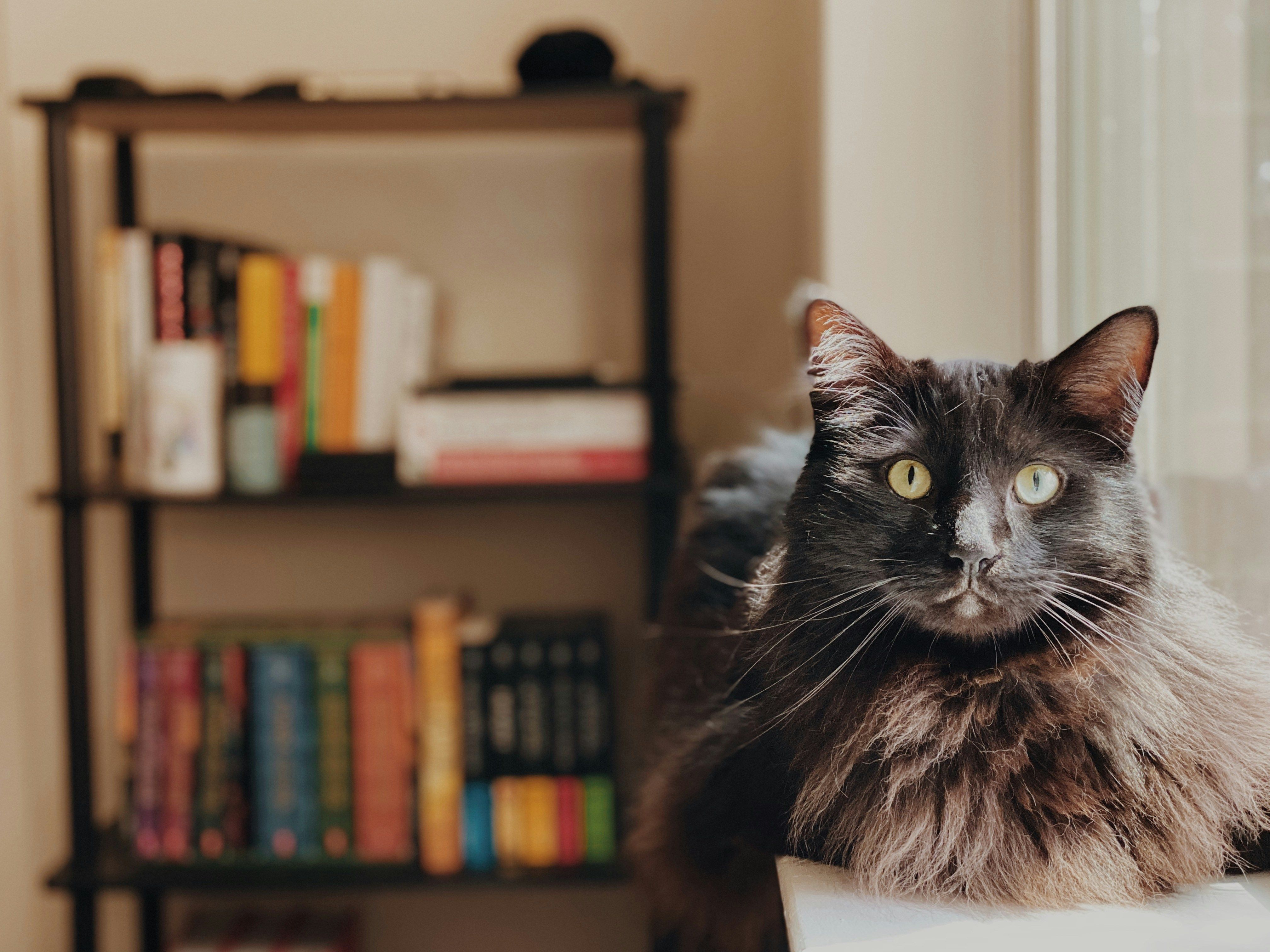 10 Standalone Fantasy Novels To Binge In A Weekend
