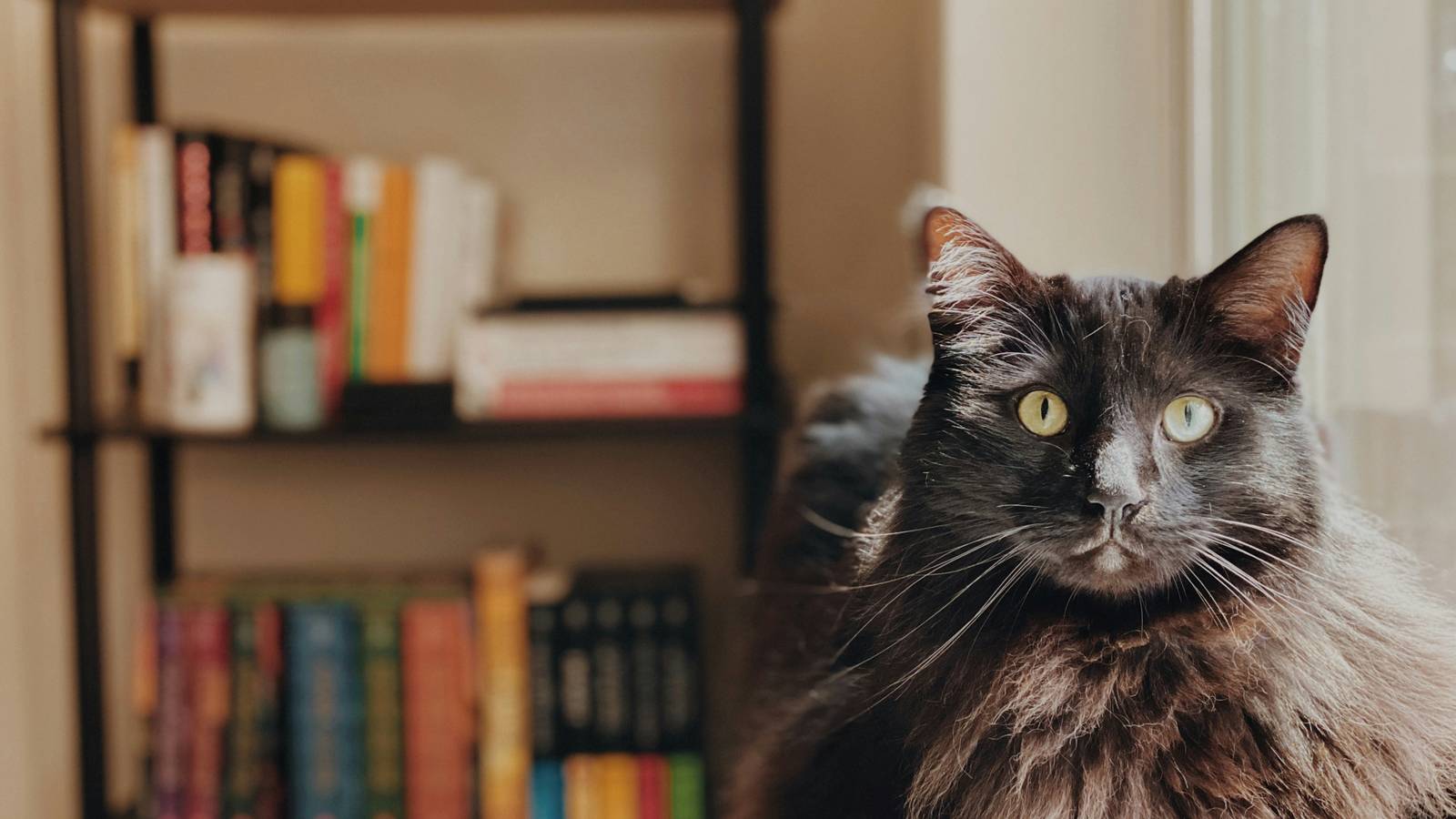 10 Standalone Fantasy Novels To Binge In A Weekend