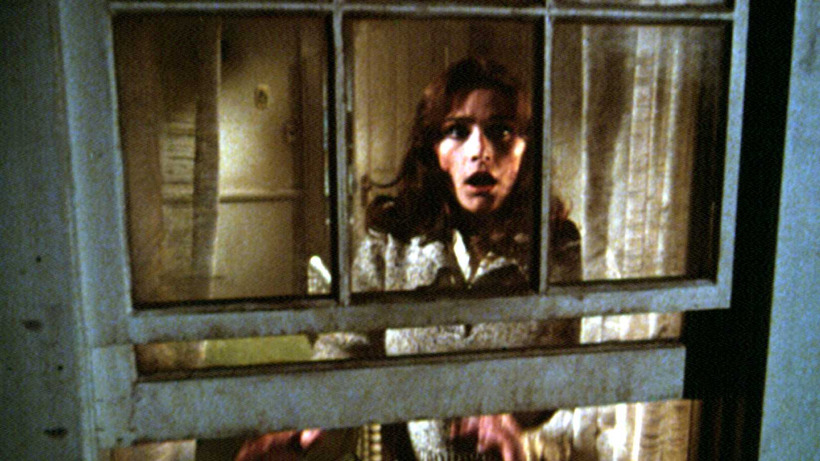 Kathy Lutz looks shocked while looking through the window in the original The Amityville Horror movie
