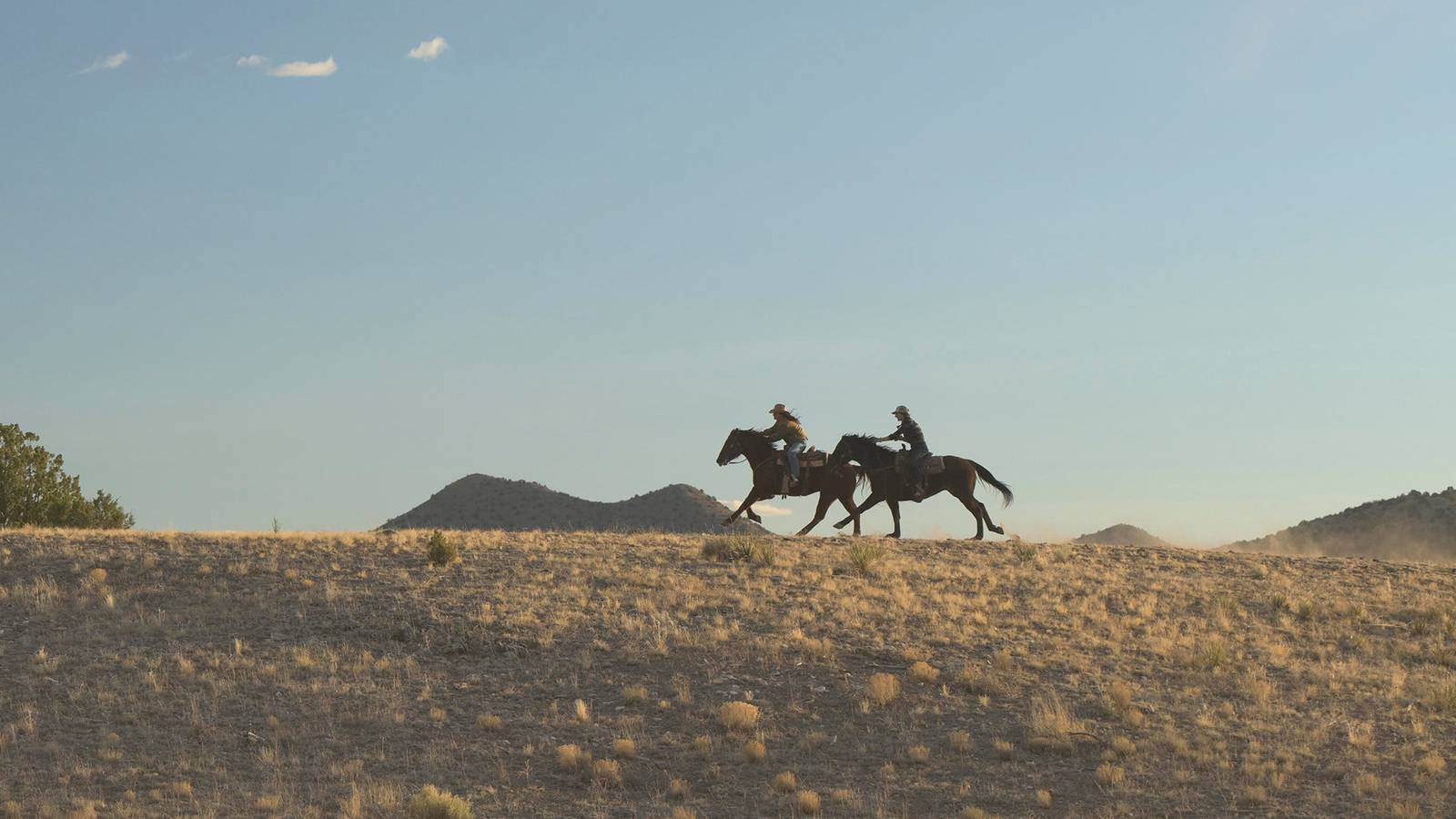 Netflix and Prime Video Both Adapting Elsie Silver's Western Romance Series
