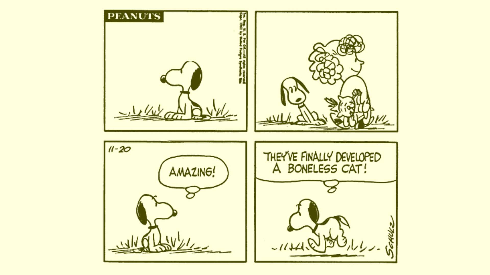 Peanuts Snoopy and Faron the Cat November 20