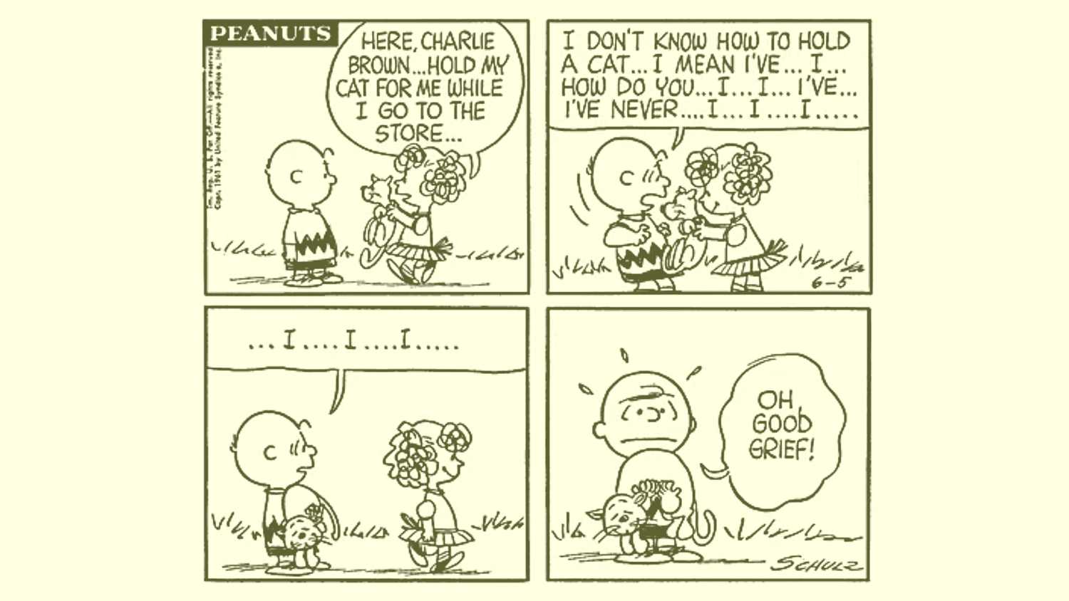 Peanuts Snoopy Charlie Brown holding Faron