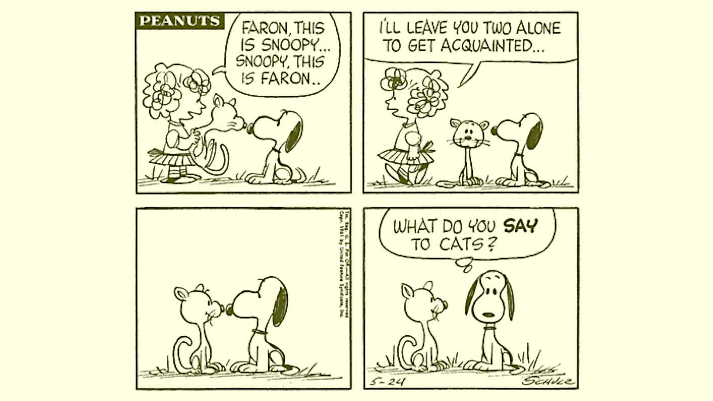 Why Faron Failed