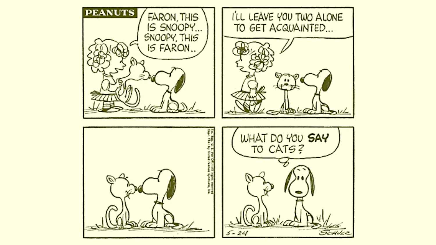 Peanuts Snoopy Meets Faron