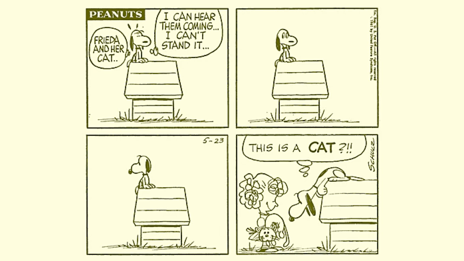 Peanuts Snoopy with Frieda and Faron