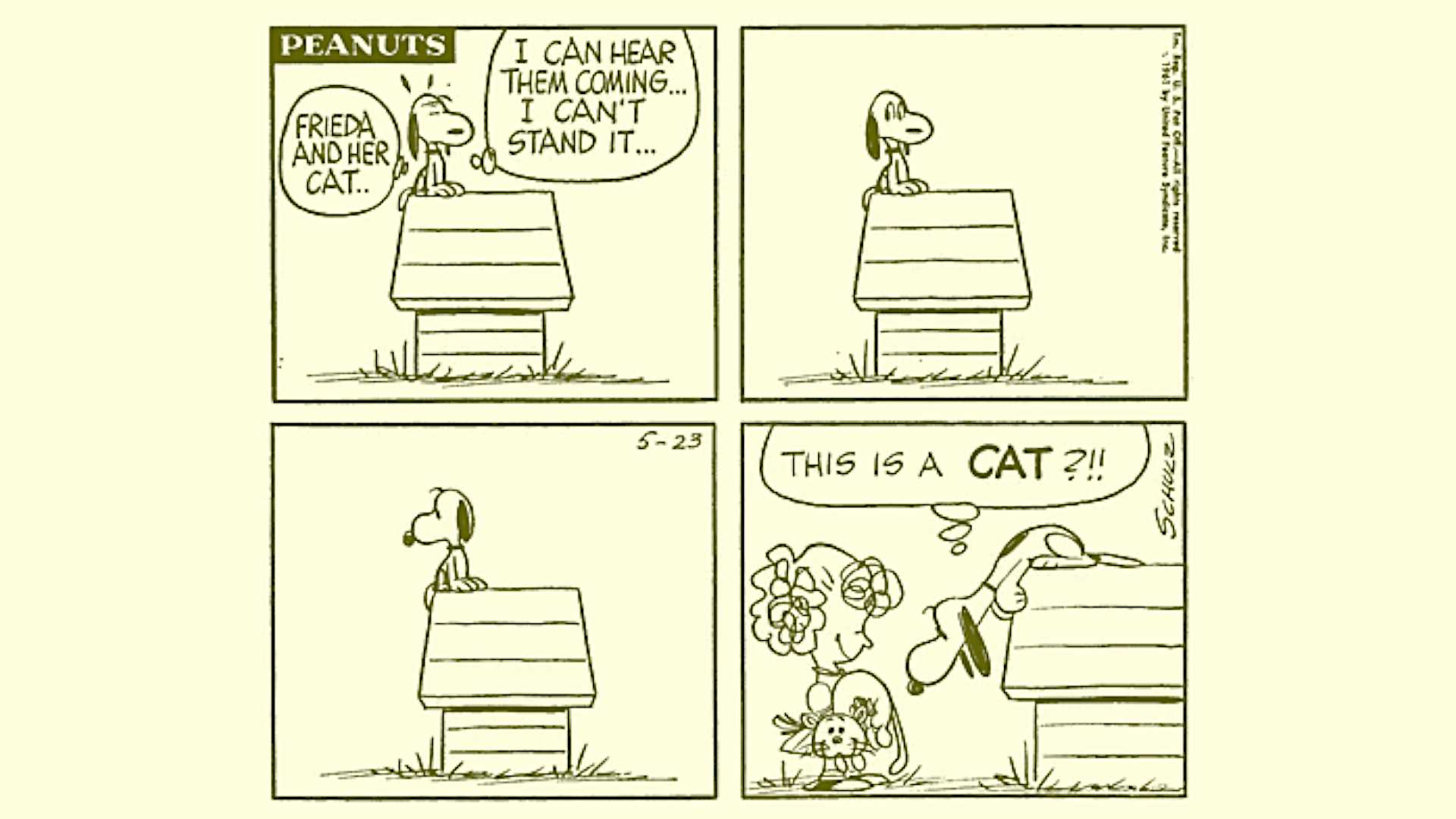 Peanuts Snoopy with Frieda and Faron