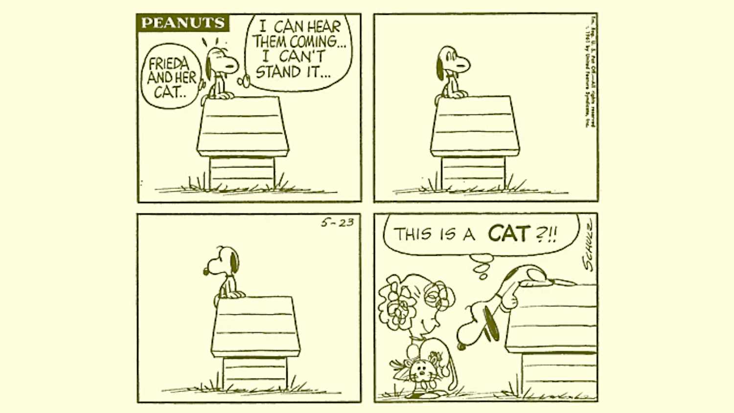 Peanuts Snoopy with Frieda and Faron