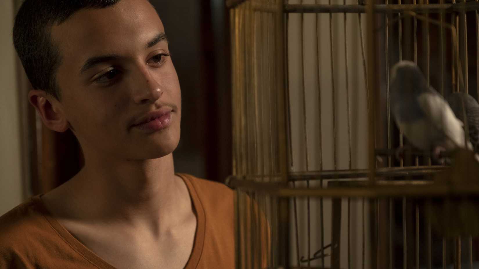 Ram Masarweh looking at a bird in a cage in Our Boys
