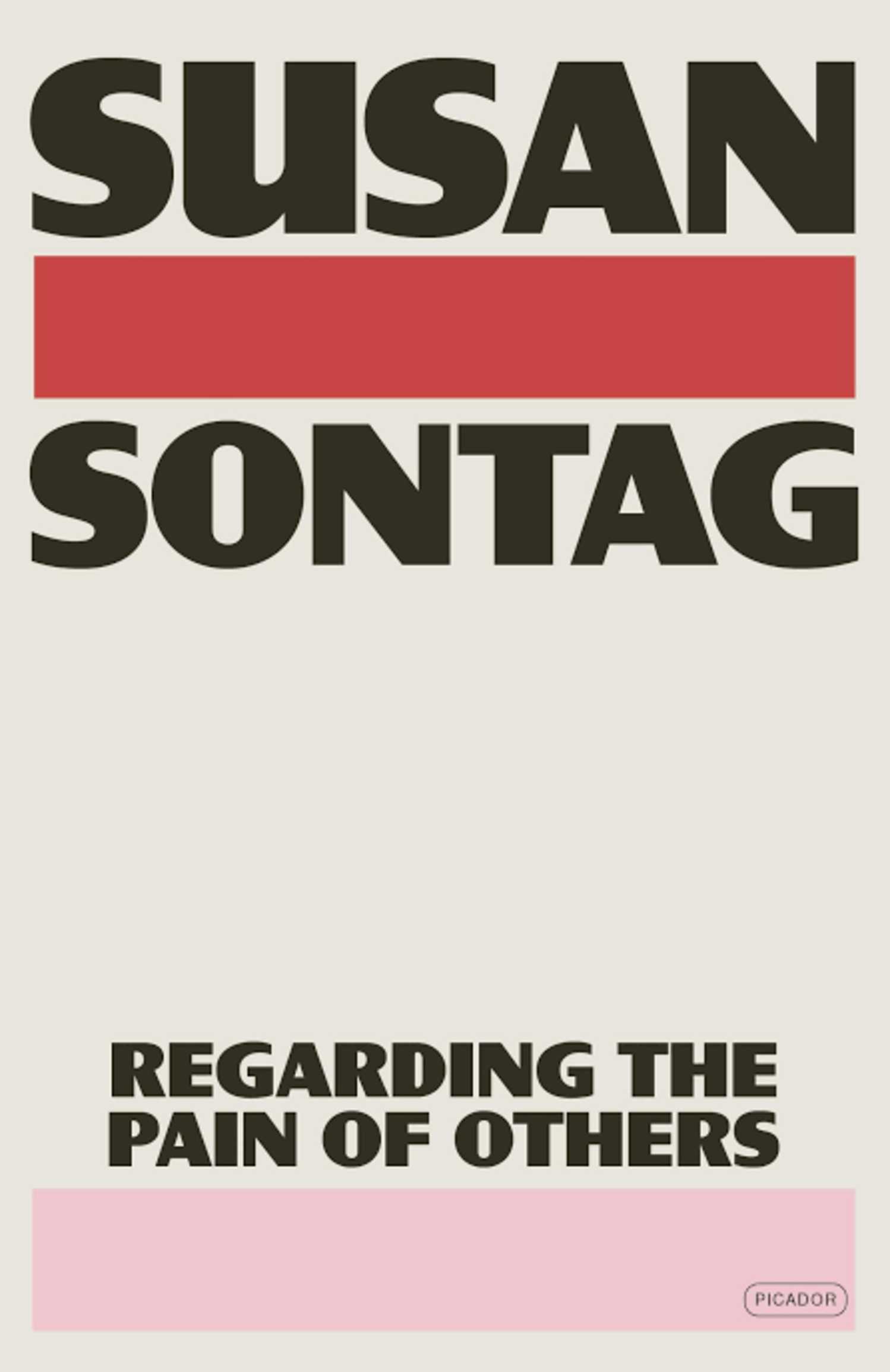 Regarding the Pain of Others book cover