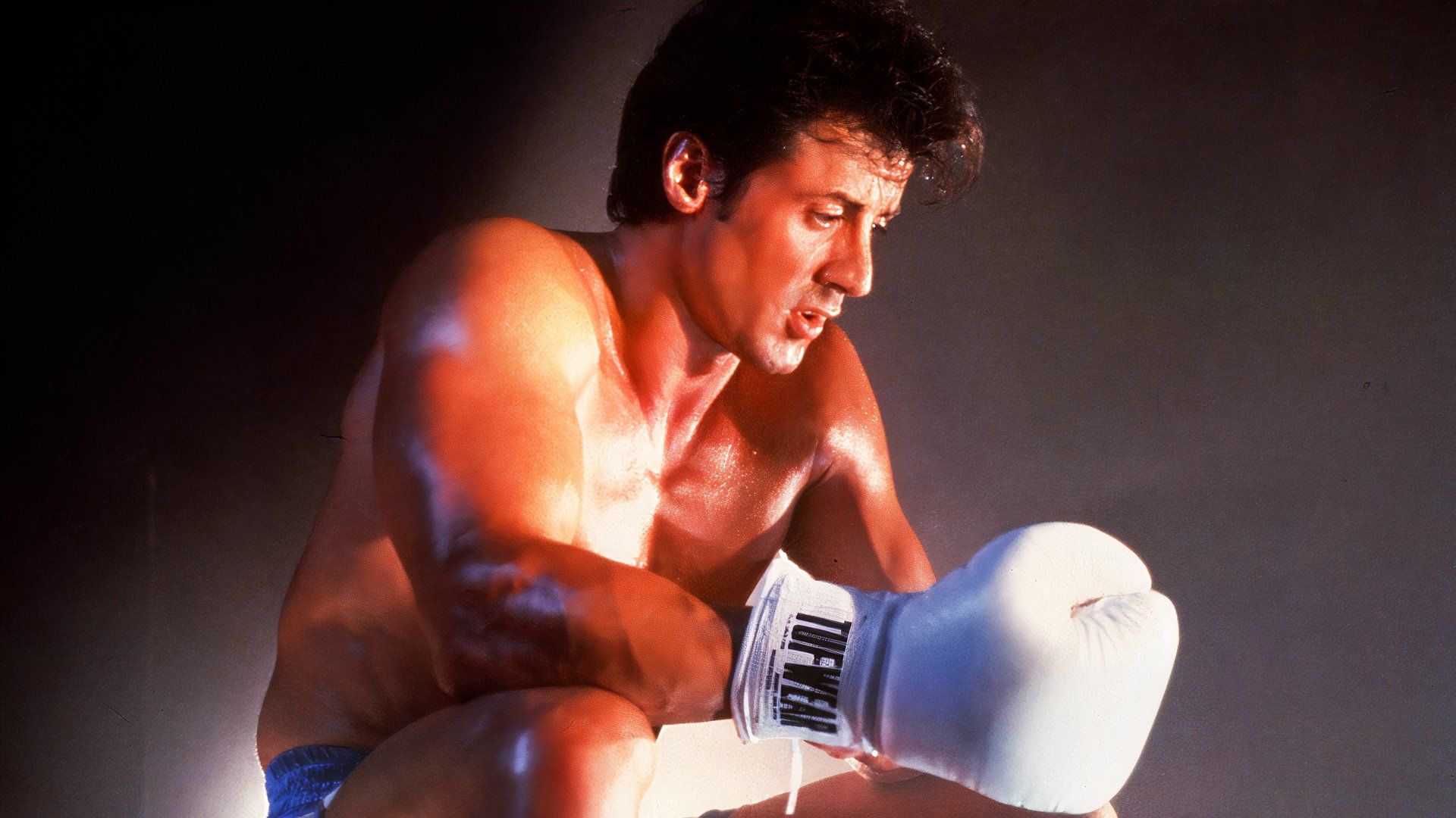 After 50 Years, The Entire Rocky Movie Series Officially Has A New Home
