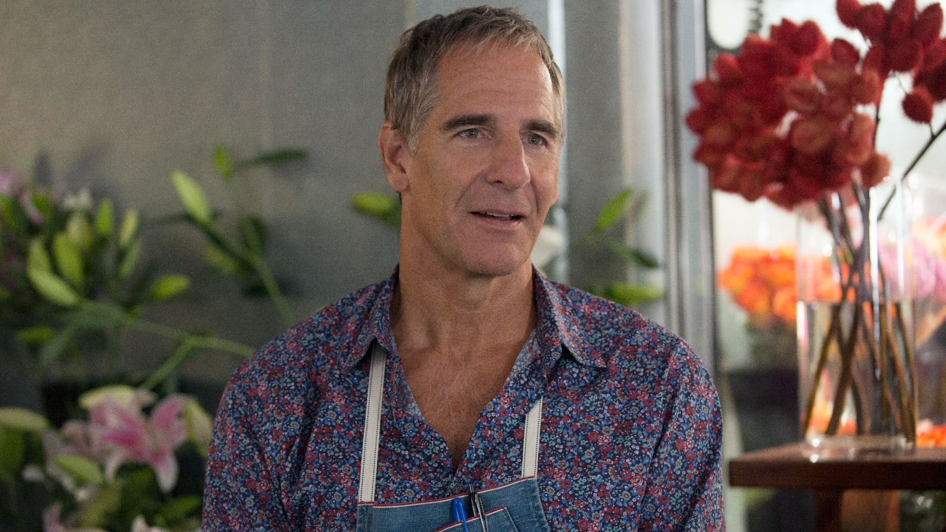 Scott Bakula in Looking