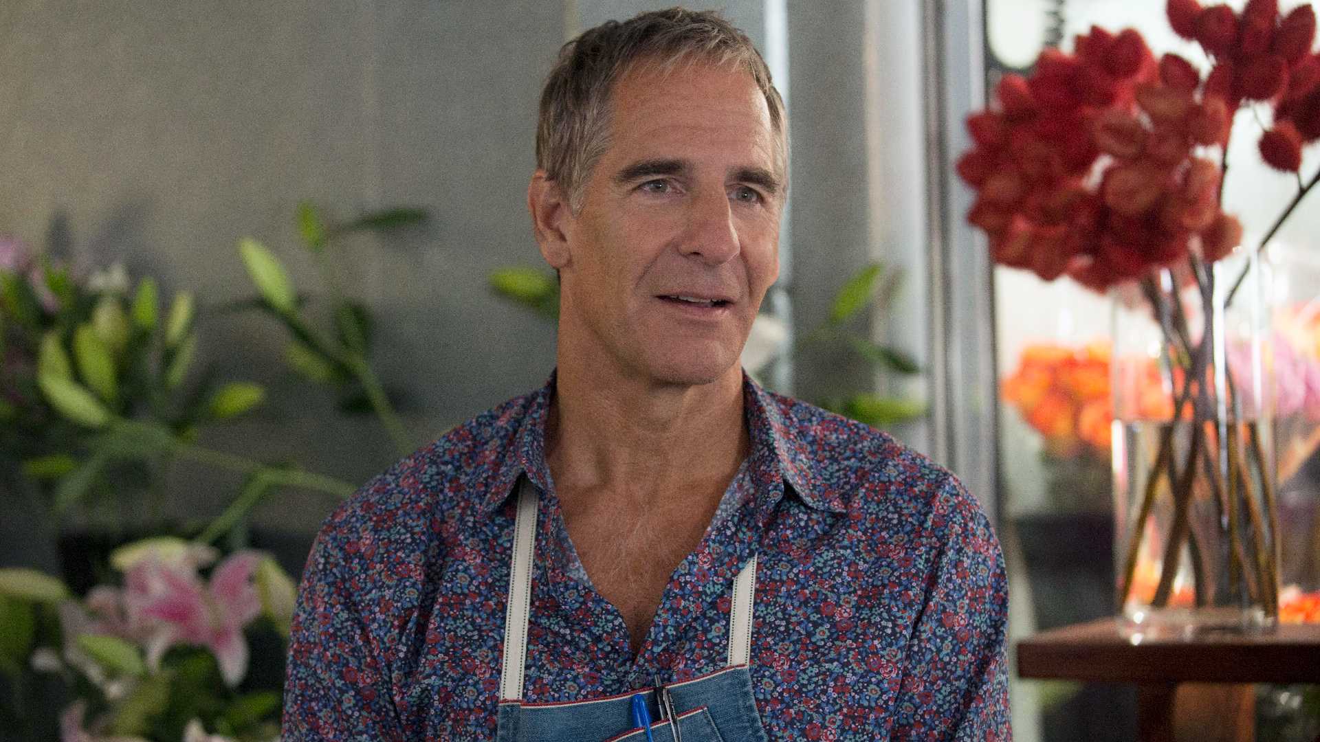 Scott Bakula in Looking