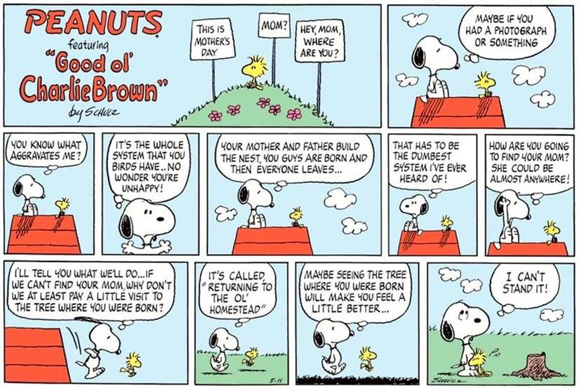 Snoopy and Woodstock in the May 11, 1980, Peanuts comic strip, regarding his mother
