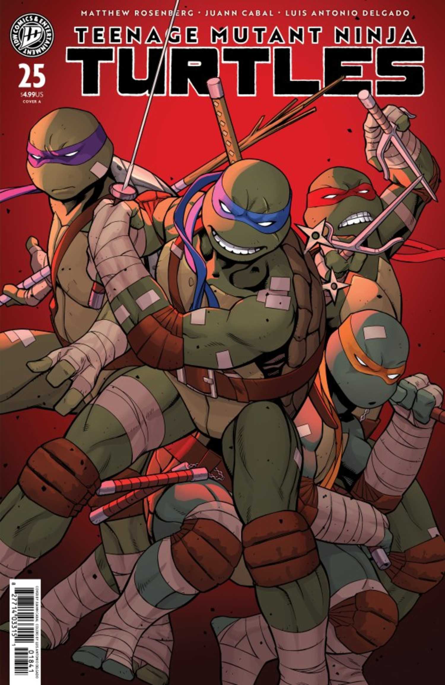 Teenage Mutant Ninja Turtles #25 cover, the Turtles wielding their signature weapons