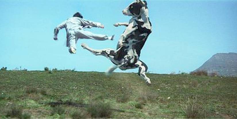 The Chosen One fights a cow in Kung-Pow!