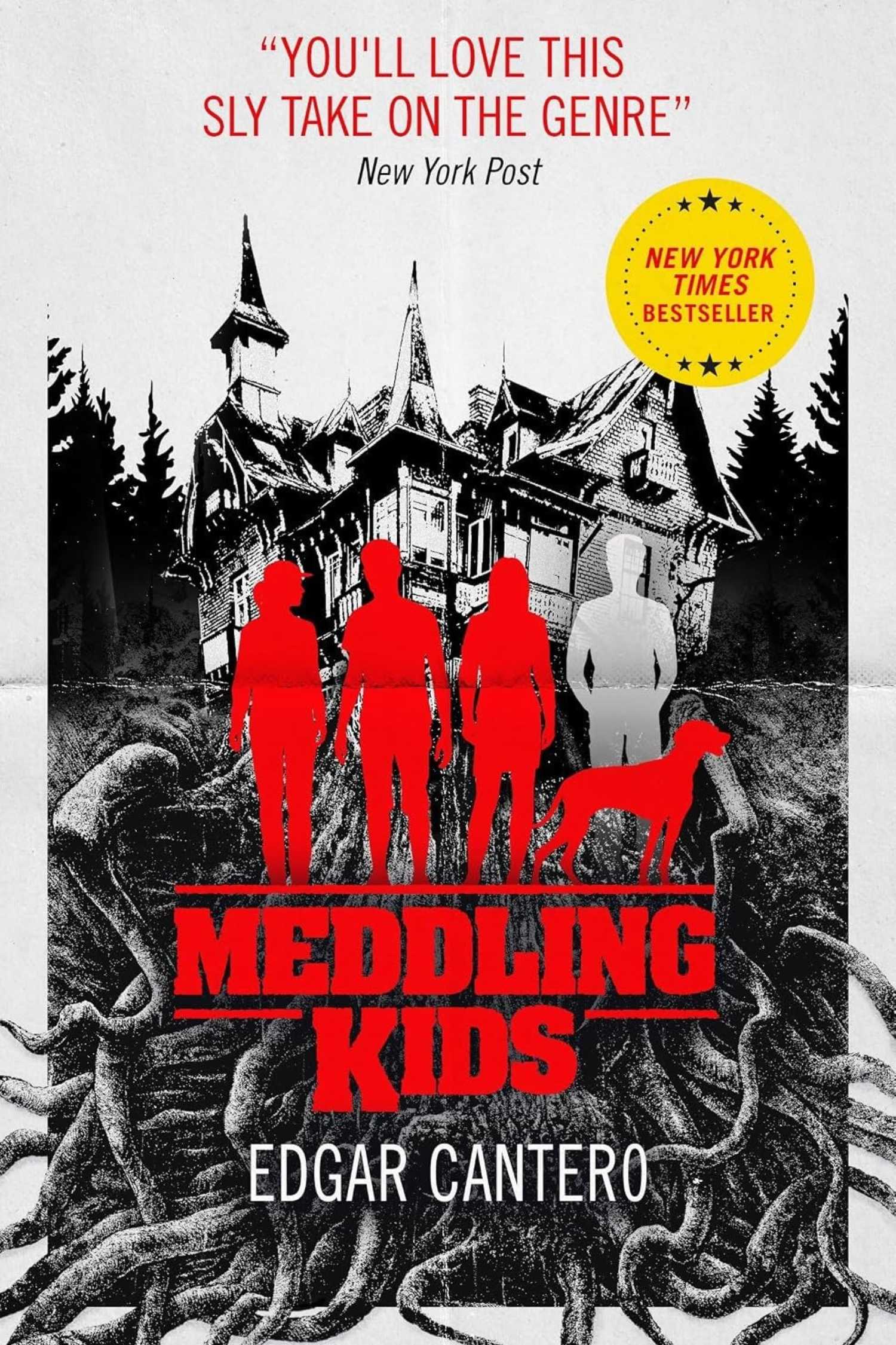 The cover of Meddling Kids by Edgar Cantero