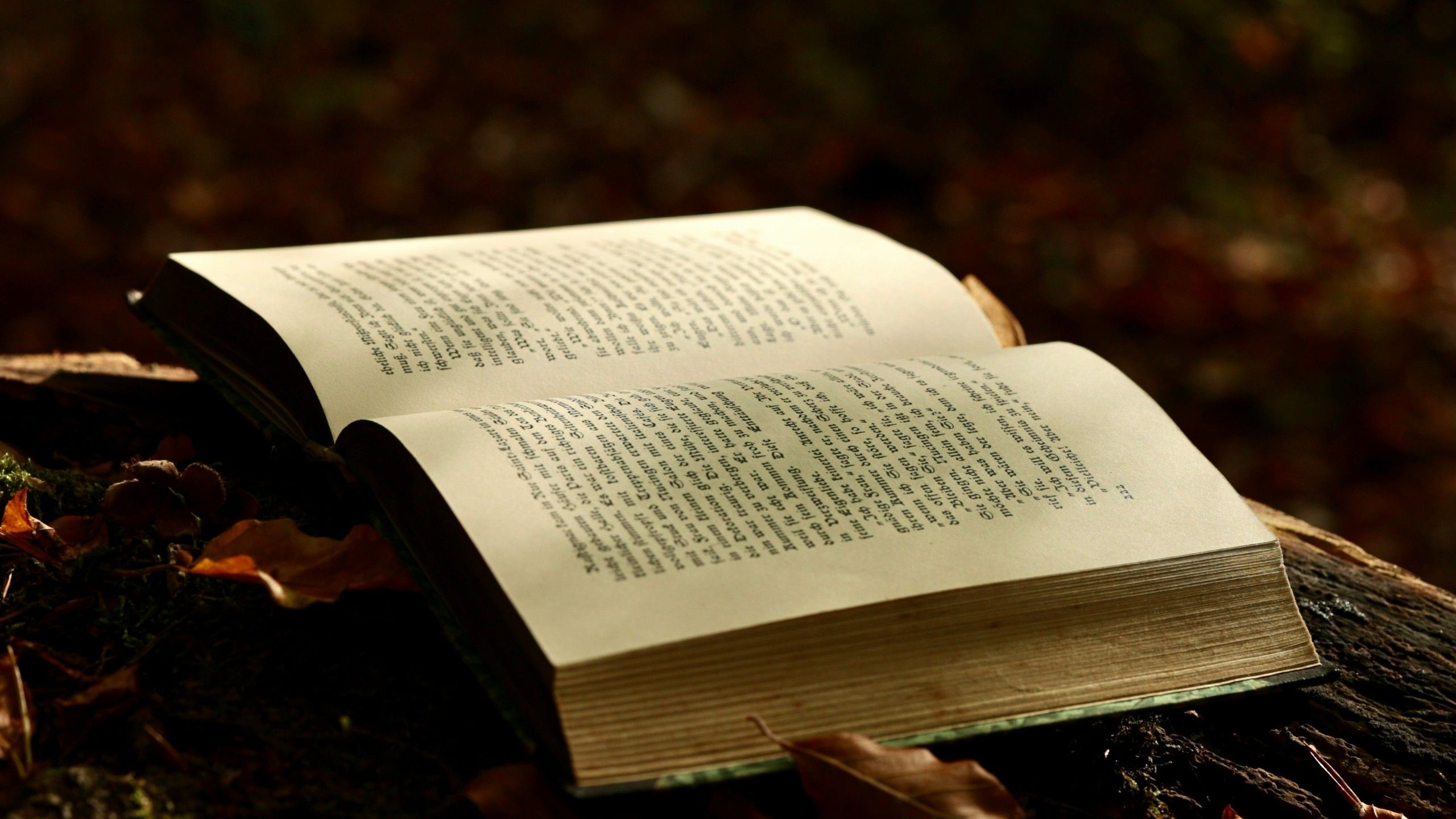 10 Fantasy Books Recommended By Ursula K. Le Guin image
