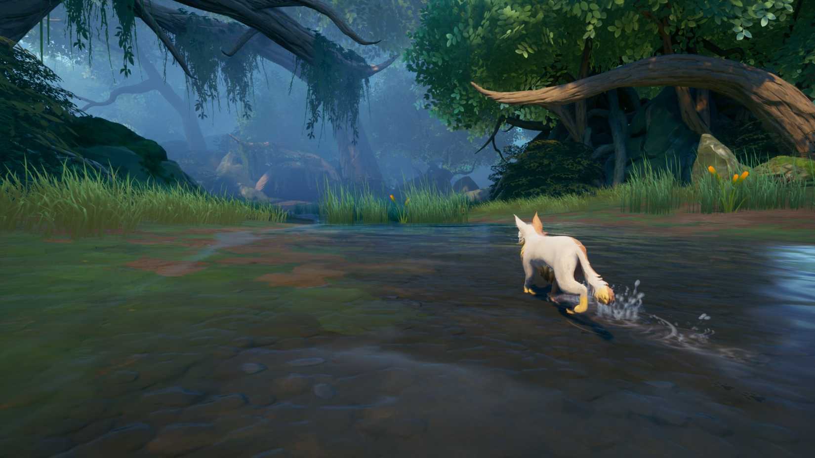 Warrior Cats Clans of the Forest exploration