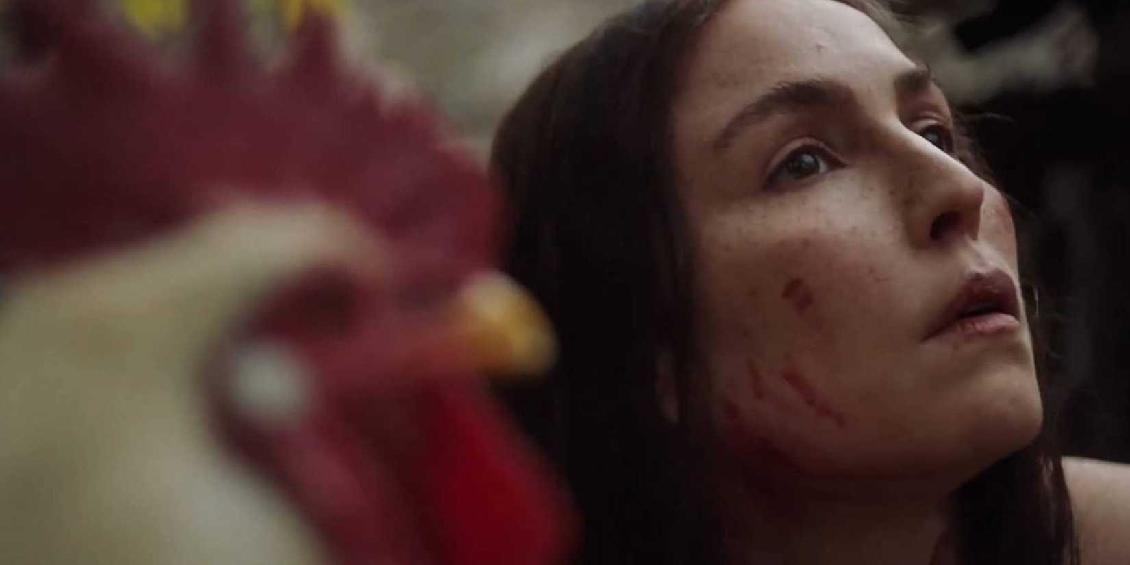 What's Coming To Peacock In November 2026: Full List Of TV Shows & Movies