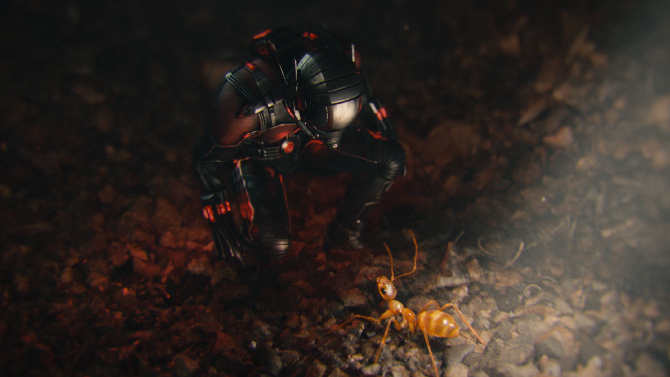 Ant-Man HD Photo - Scott Lang and Tiny Ant
