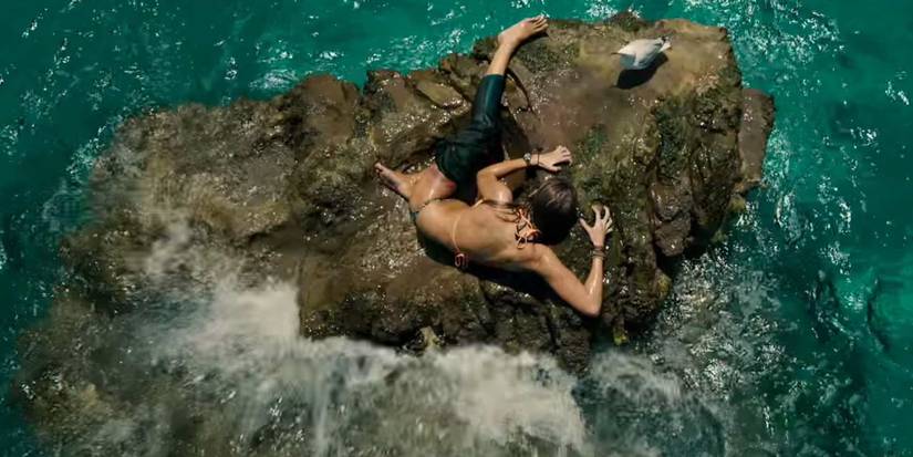 Blake Lively and the seagull in The Shallows
