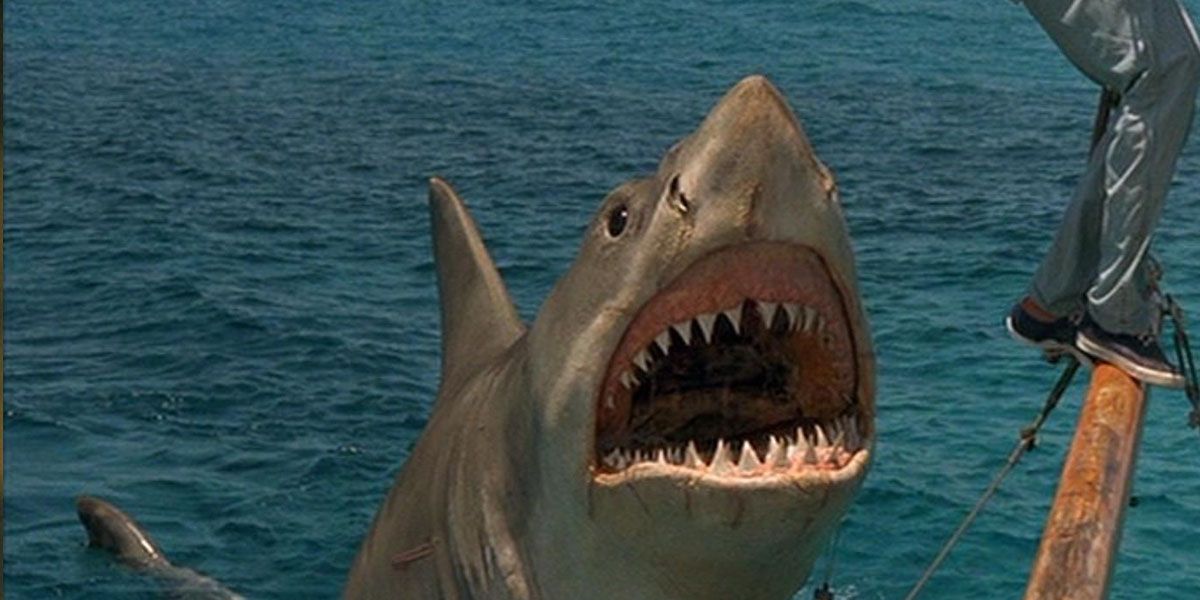 Jaws Ending Explained