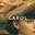 Carol