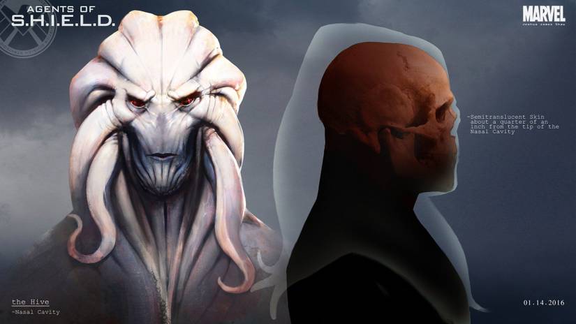 Inhuman Shield The Marvel Cinematic Universe’s Inhumans Explained