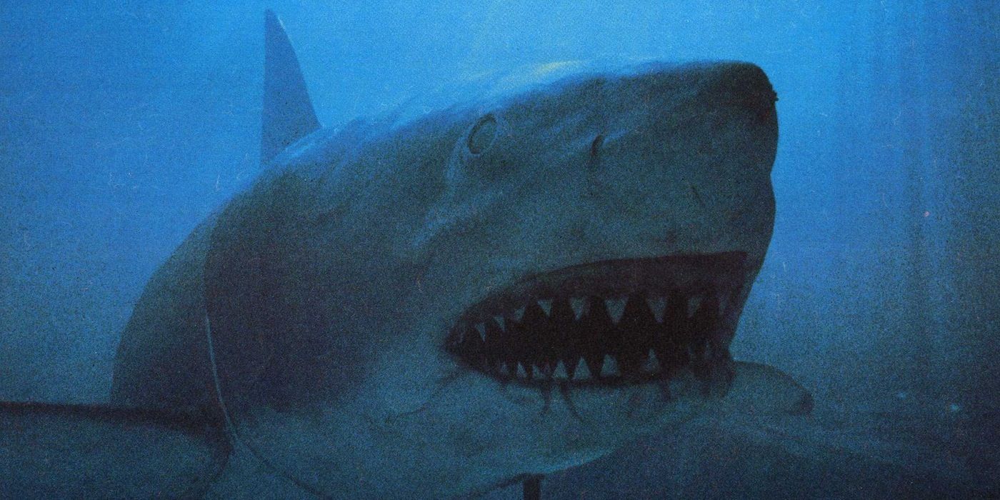 Every Jaws Movie Ranked, Worst To Best