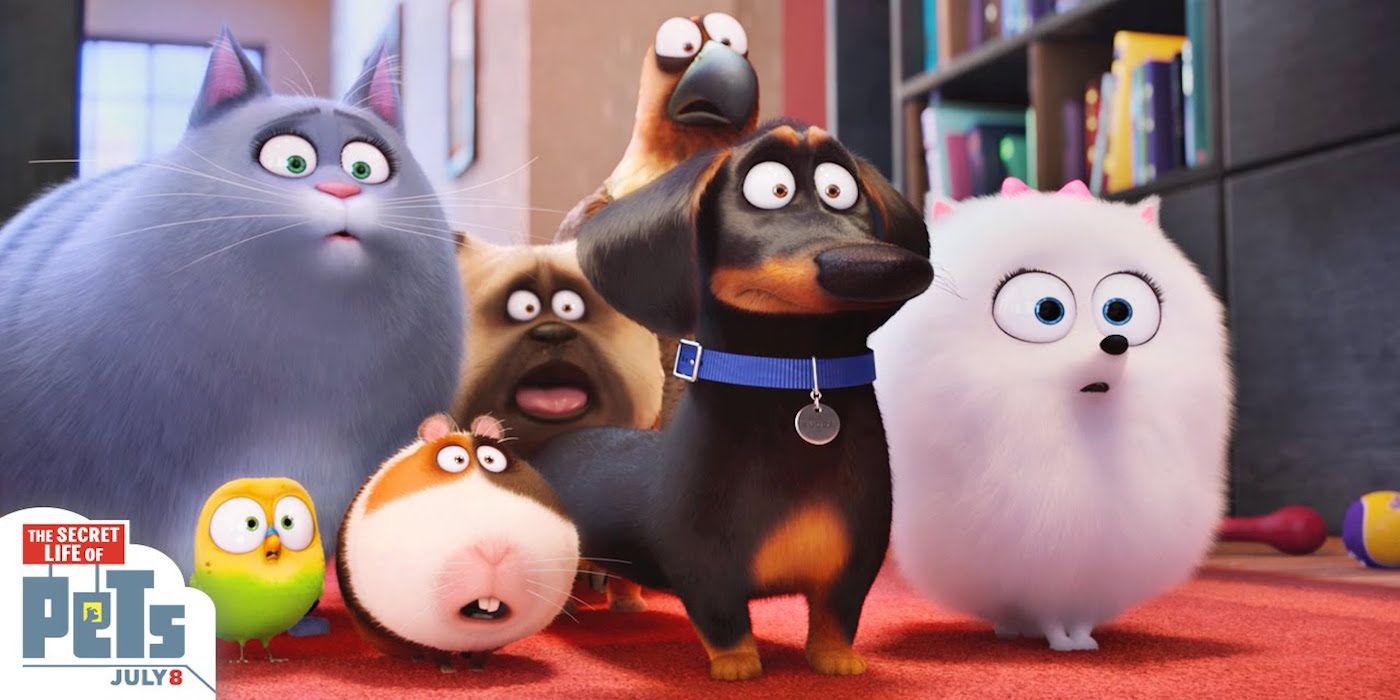 Every Illumination Animated Movie, Ranked Worst To Best