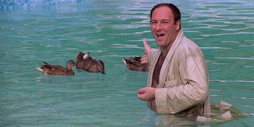 Tony in the pool with the ducks in The Sopranos pilot episode
