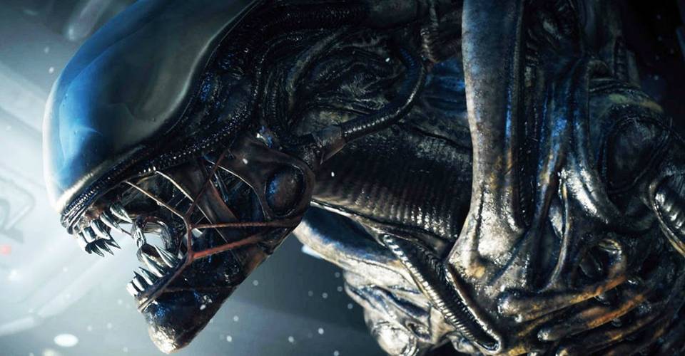 Alien Covenant Image Teases Katherine Waterston S Character