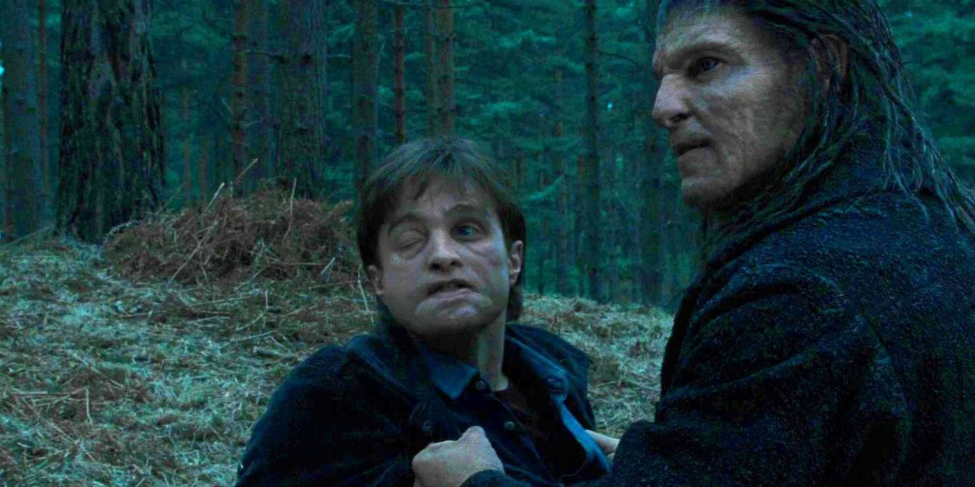 Harry Potter The Most Disliked Characters Ranked By Evilness
