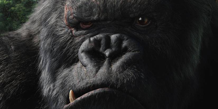 Every Upcoming Godzilla/Kong Movie & TV Show (& Why There's So Many)