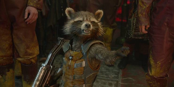 10 Rocket Racoon Quotes From The Mcu That We Will Always Remember