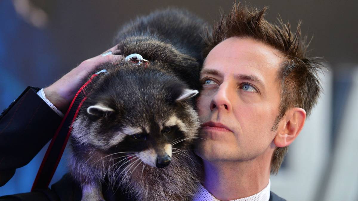 James Gunn Offers Reward For Saving Raccoon Stranded on Skyscraper