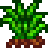 stardew valley grass starter