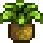 stardew valley wild horseradish