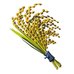 How To Get Hylian Rice in Zelda: Tears of the Kingdom