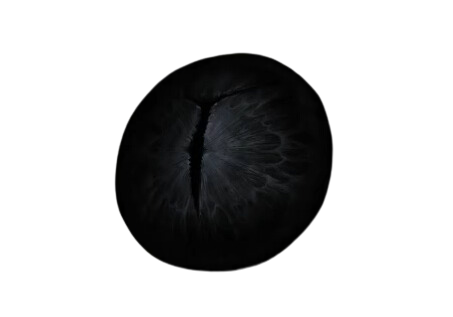 elden ring iris of occultation