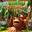 Donkey Kong Country Returns HD
