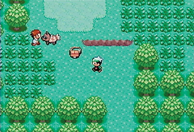 689601-pokemon-emerald-version-screenshot.jpg
