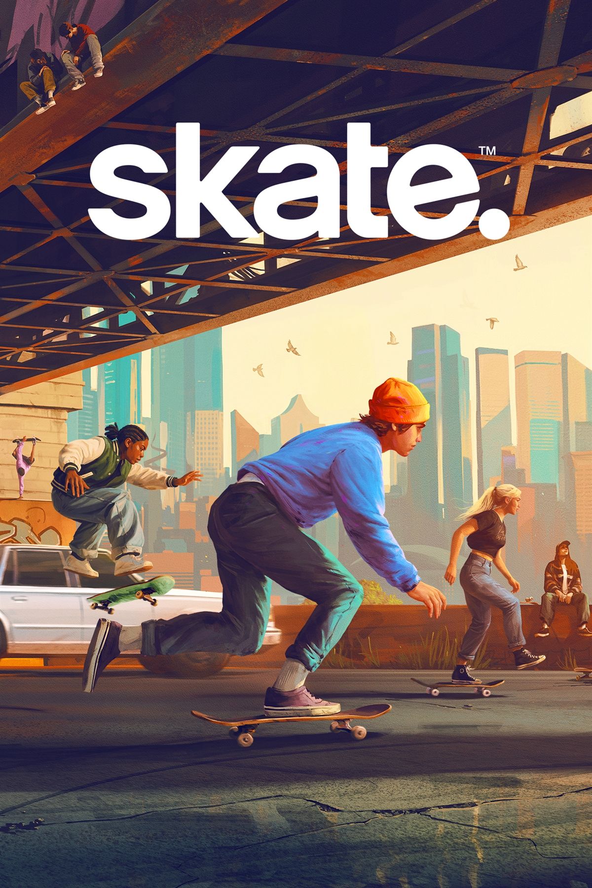 copertina skate.