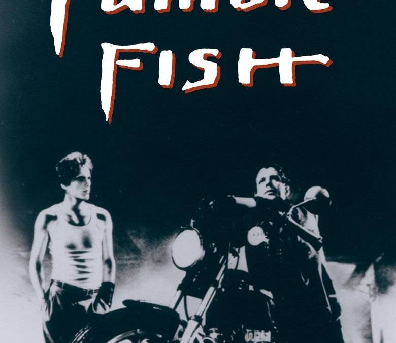 Rumble Fish Summary, Trailer, Cast, Where to Watch and More