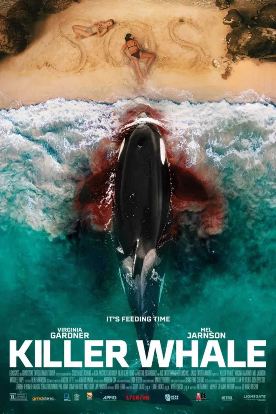 killer-whale-poster.jpg