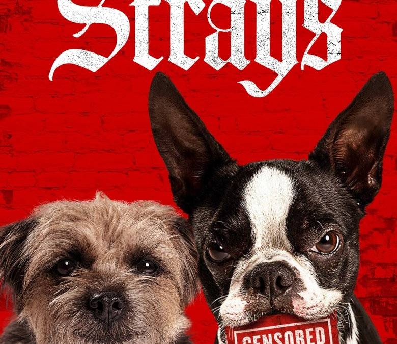Strays Summary, Trailer, Cast, Where to Watch and More