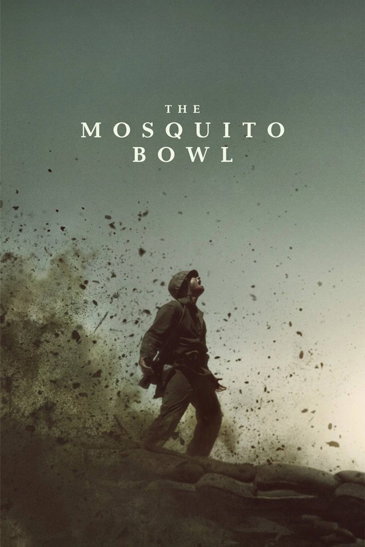 the-mosquito-bowl-poster.jpg