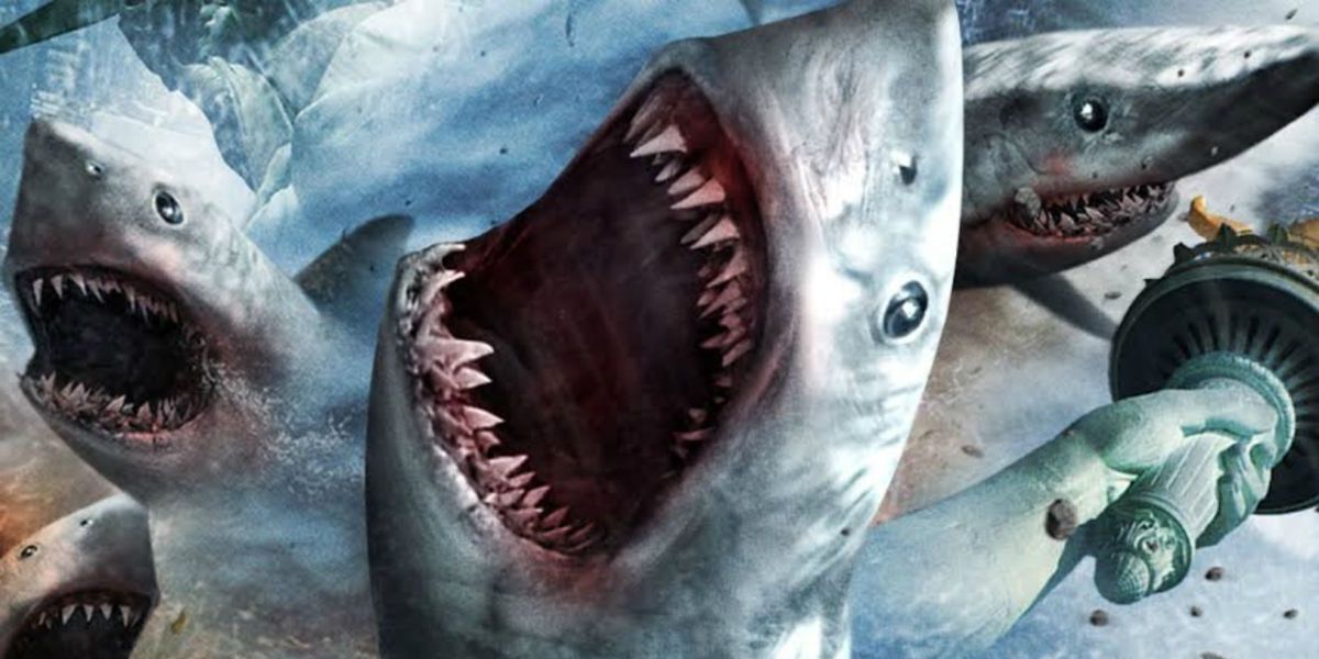 Stephen King Reacts To Netflix's New Global Shark Movie Hit With 67% RT Score