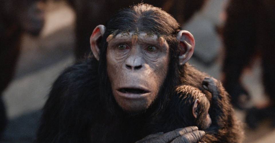 War For The Planet Of The Apes Judy Greer Returns As Cornelia