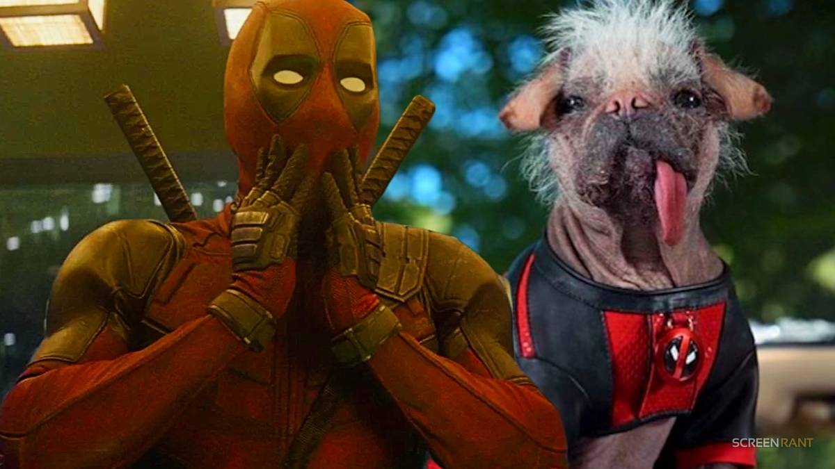 First Official Deadpool 3 Photo Released In 5 Months Reveals Ryan ...